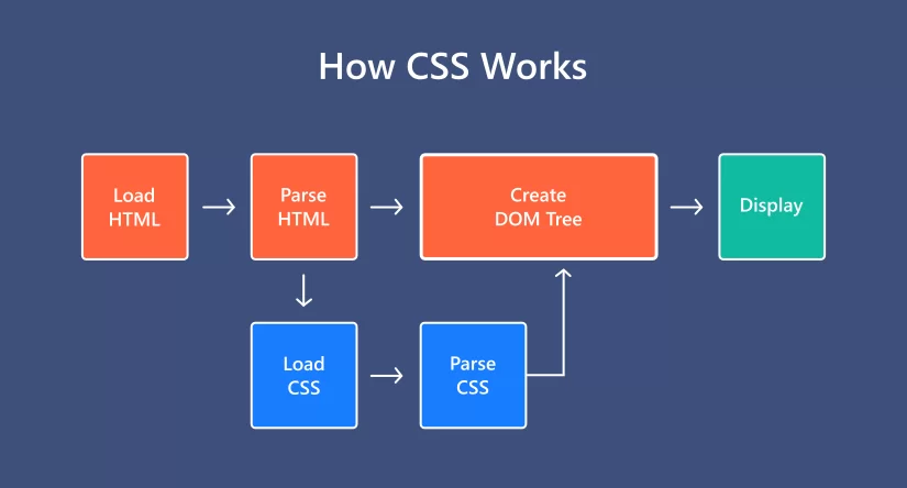 CSS 