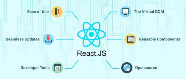  Reactjs 